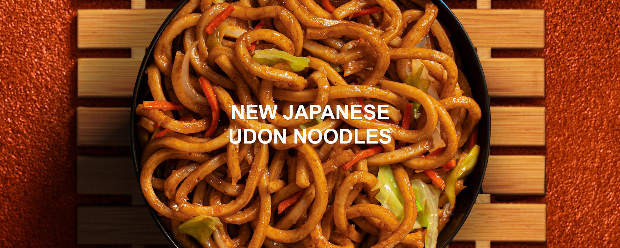 NEW JAPANESE UDON NOODLES
